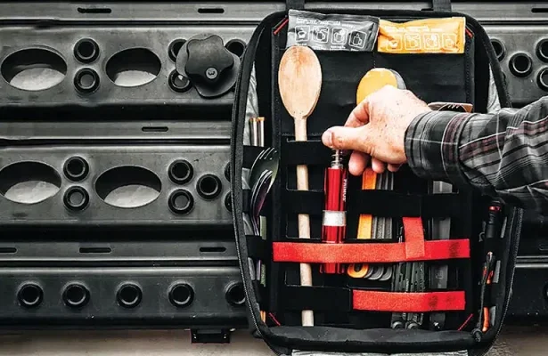 Chameleon Carryall