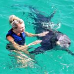 Swimming with Dolphins: A Journey of Wonder and Marine Protection
