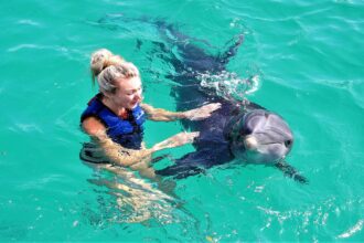 Swimming with Dolphins: A Journey of Wonder and Marine Protection