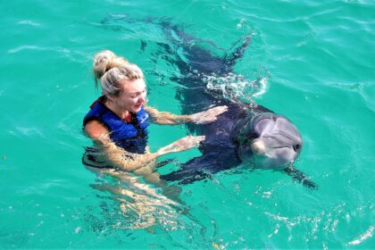 Swimming with Dolphins: A Journey of Wonder and Marine Protection