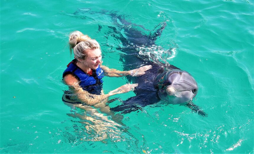 Swimming with Dolphins: A Journey of Wonder and Marine Protection